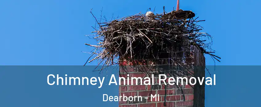  Chimney Animal Removal Dearborn - MI