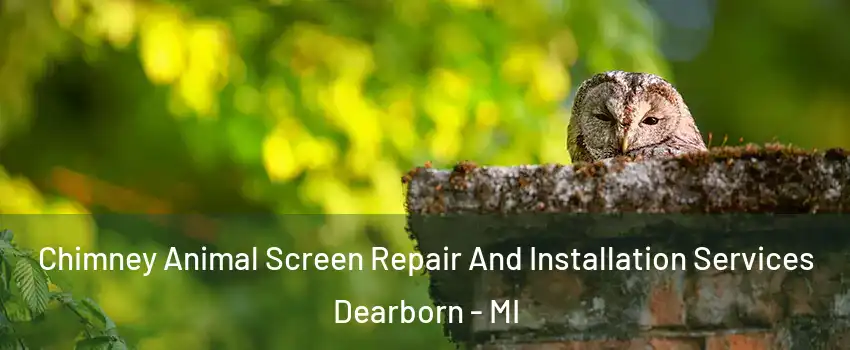  Chimney Animal Screen Repair And Installation Services Dearborn - MI