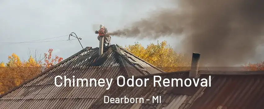  Chimney Odor Removal Dearborn - MI