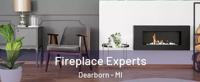  Fireplace Experts Dearborn - MI