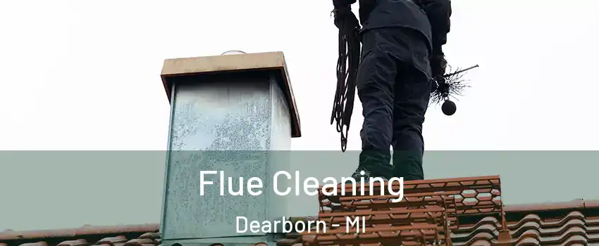  Flue Cleaning Dearborn - MI