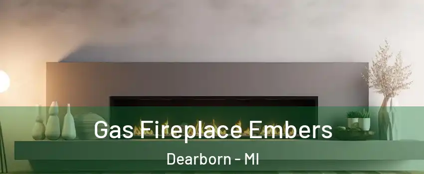  Gas Fireplace Embers Dearborn - MI