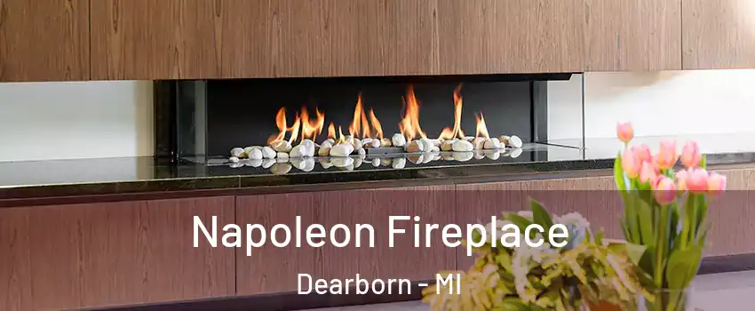  Napoleon Fireplace Dearborn - MI
